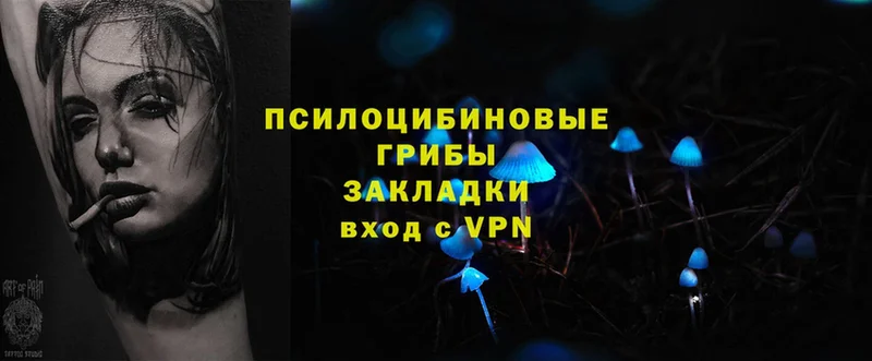 сайты даркнета как зайти  продажа наркотиков  Иланский  Псилоцибиновые грибы Psilocybe 